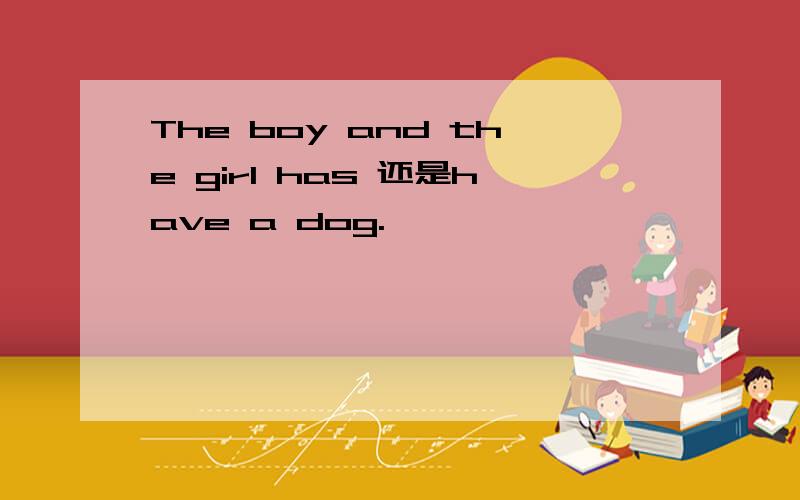 The boy and the girl has 还是have a dog.