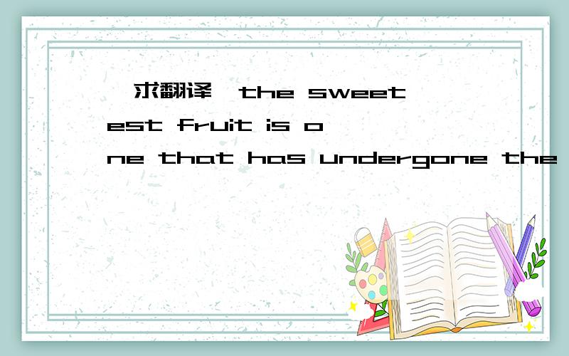【求翻译】the sweetest fruit is one that has undergone the bitterest ordeal