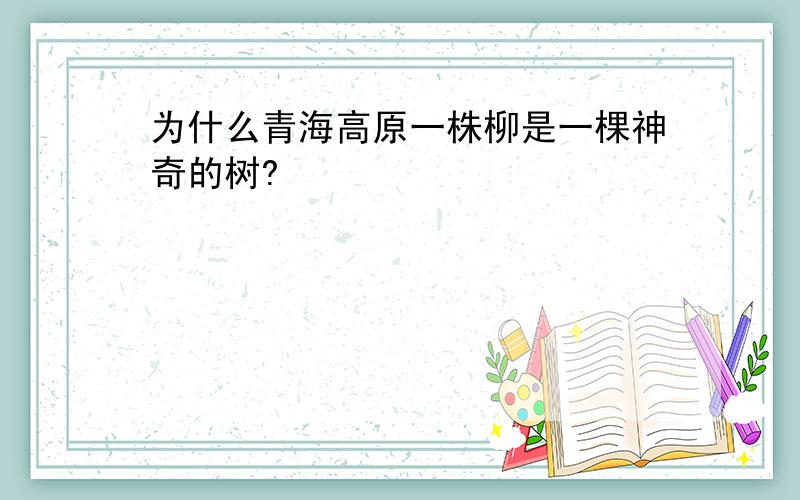 为什么青海高原一株柳是一棵神奇的树?
