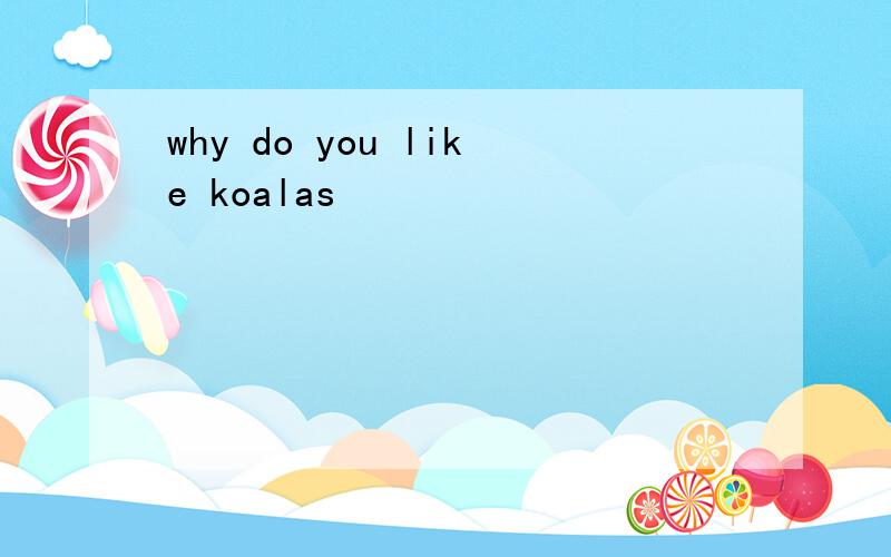 why do you like koalas