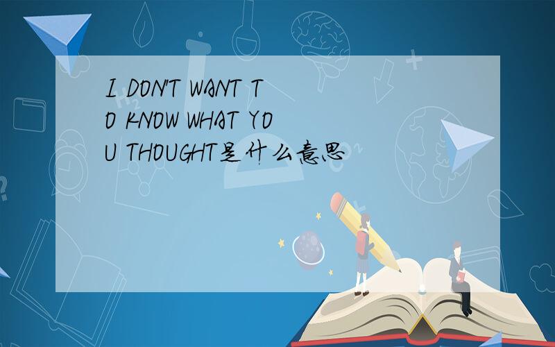 I DON'T WANT TO KNOW WHAT YOU THOUGHT是什么意思