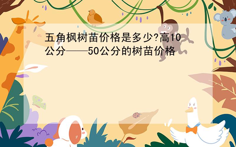五角枫树苗价格是多少?高10公分——50公分的树苗价格
