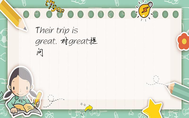 Their trip is great. 对great提问