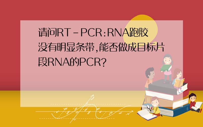 请问RT-PCR:RNA跑胶没有明显条带,能否做成目标片段RNA的PCR?