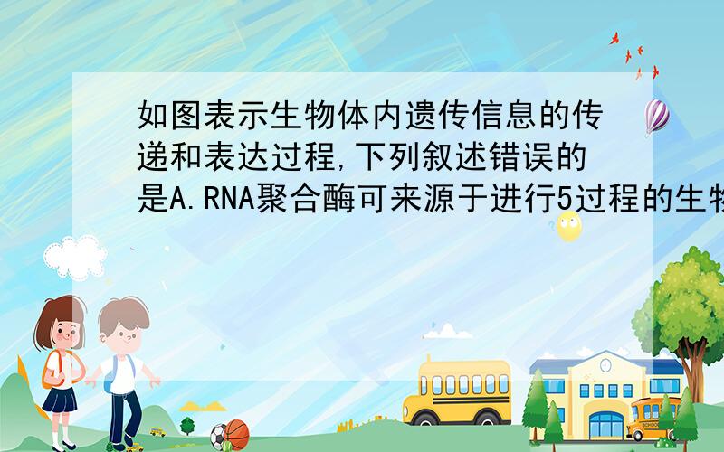 如图表示生物体内遗传信息的传递和表达过程,下列叙述错误的是A.RNA聚合酶可来源于进行5过程的生物 B.24过程分别需要RNA聚合酶,逆转录酶