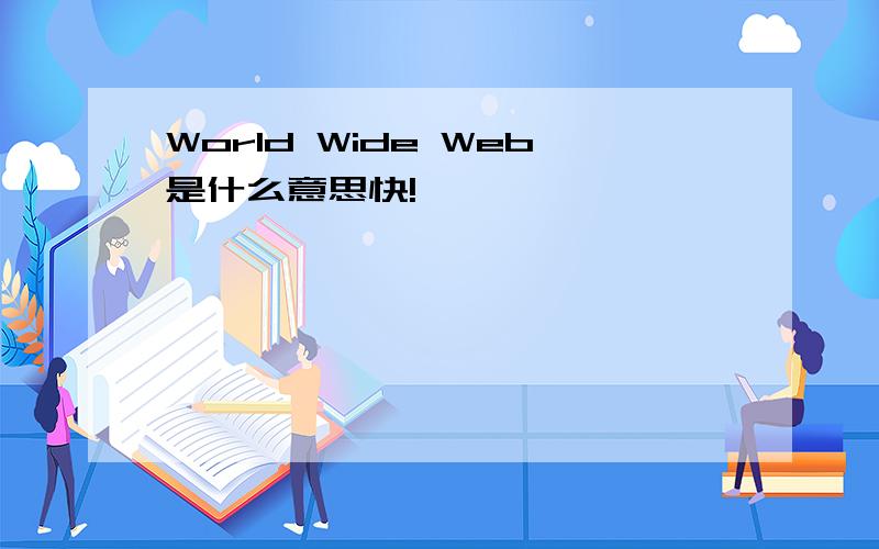 World Wide Web是什么意思快!
