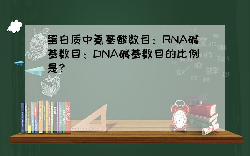 蛋白质中氨基酸数目：RNA碱基数目：DNA碱基数目的比例是?