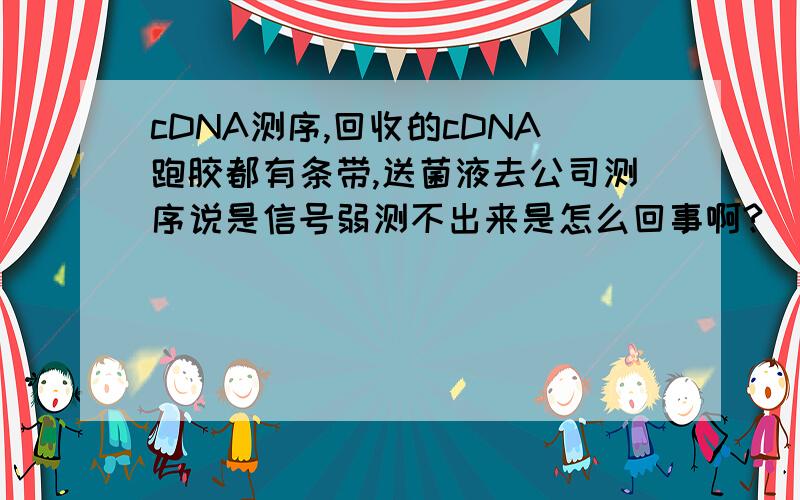 cDNA测序,回收的cDNA跑胶都有条带,送菌液去公司测序说是信号弱测不出来是怎么回事啊?
