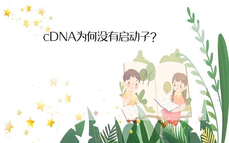 cDNA为何没有启动子?