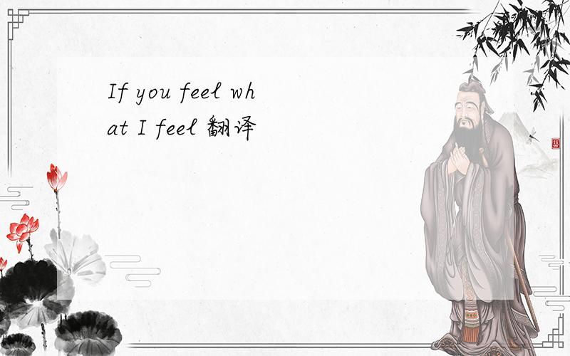If you feel what I feel 翻译