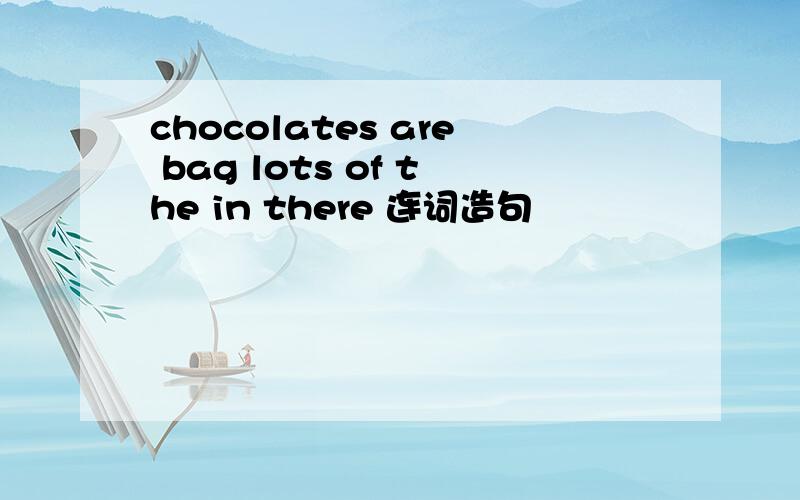 chocolates are bag lots of the in there 连词造句