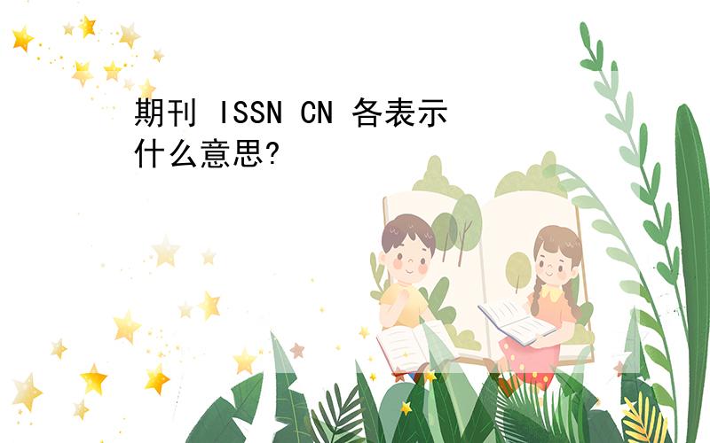 期刊 ISSN CN 各表示什么意思?