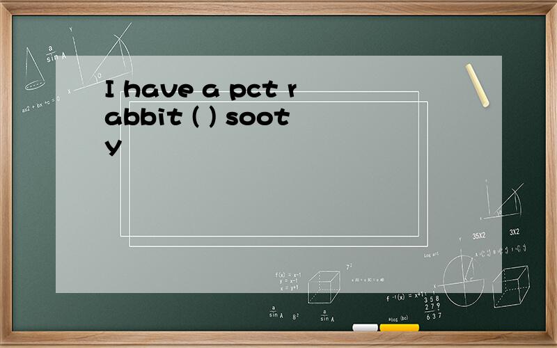 I have a pct rabbit ( ) sooty