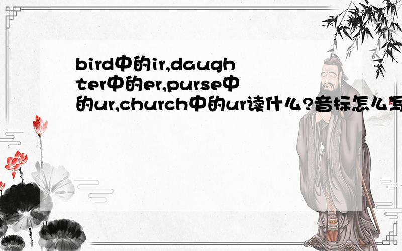 bird中的ir,daughter中的er,purse中的ur,church中的ur读什么?音标怎么写?