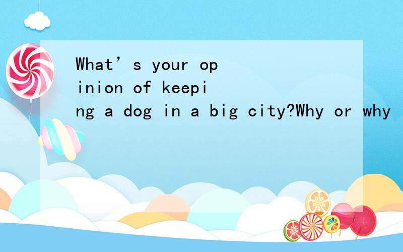 What’s your opinion of keeping a dog in a big city?Why or why