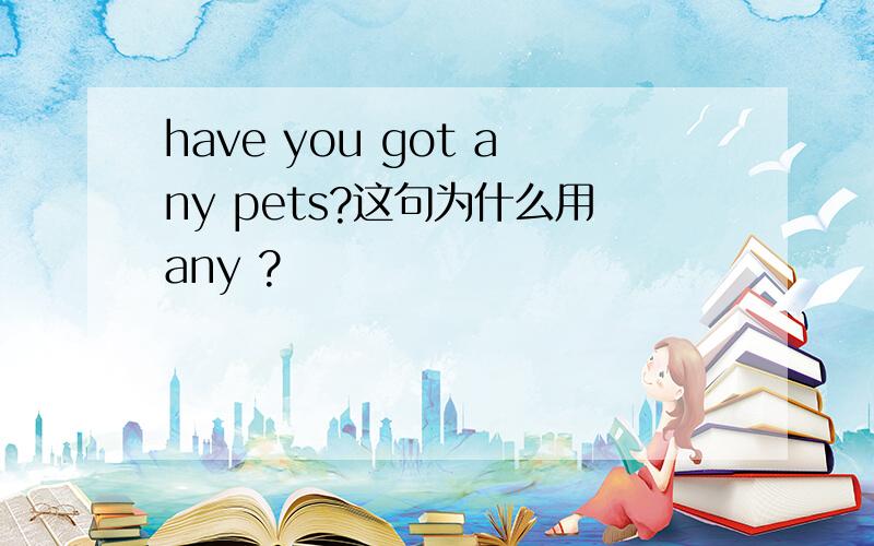 have you got any pets?这句为什么用any ?