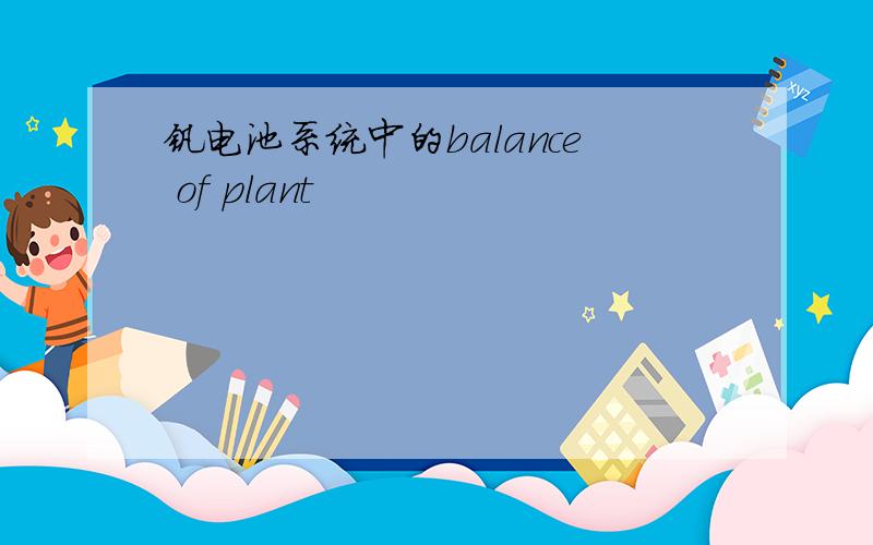 钒电池系统中的balance of plant
